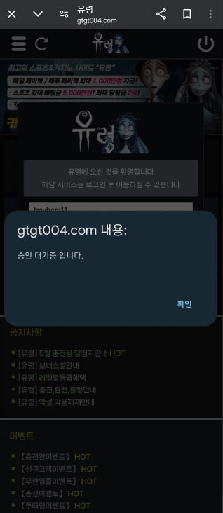 유령카지노 로그인 에러화면